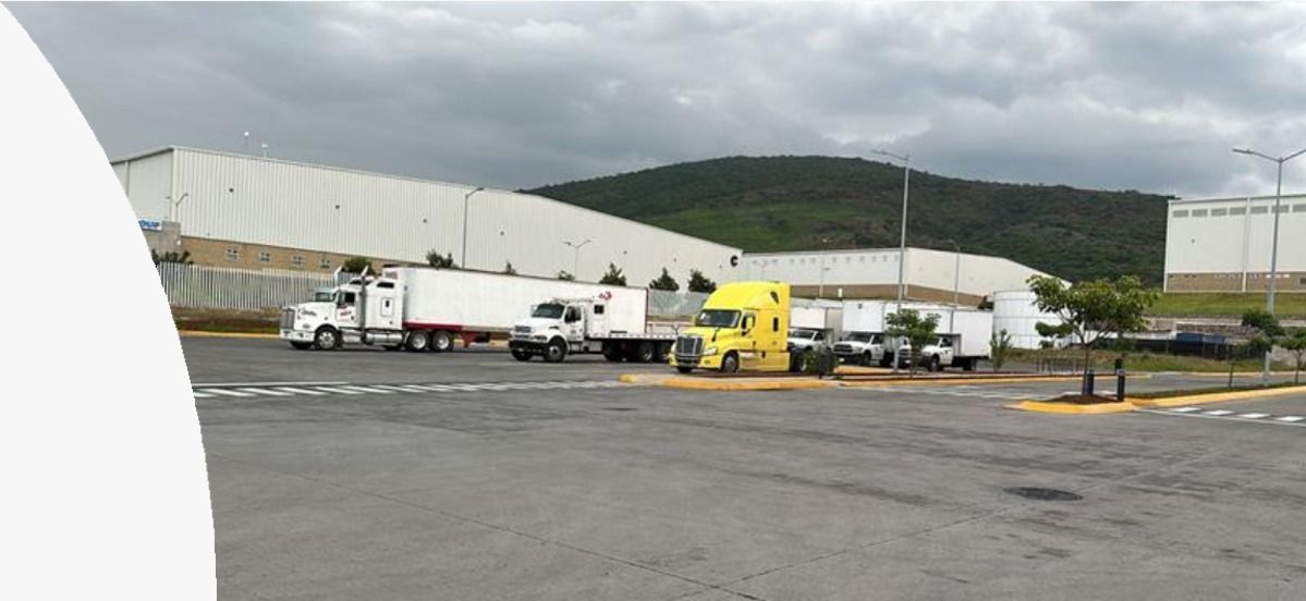 Transporte y distribución